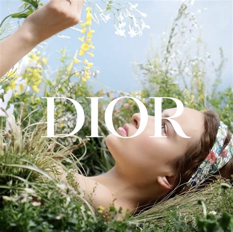 dior mission statement 2021|christian dior sustainability strategy.